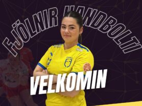 (Fjölnir Handbolti)