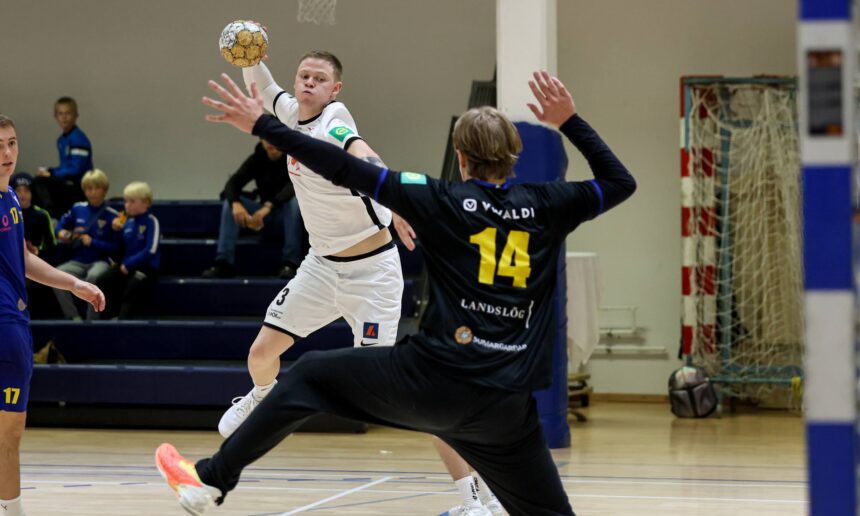 Eyjólfur Garðarsson)