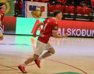 (Baldur Þorgilsson)