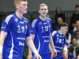 (Kristinn Steinn Traustason)