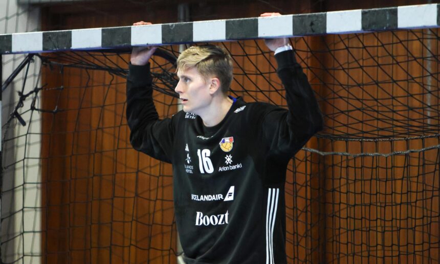 (Kristinn Steinn Traustason)