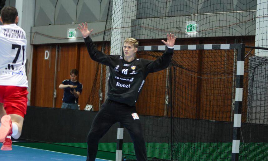 (Kristinn Steinn Traustason)
